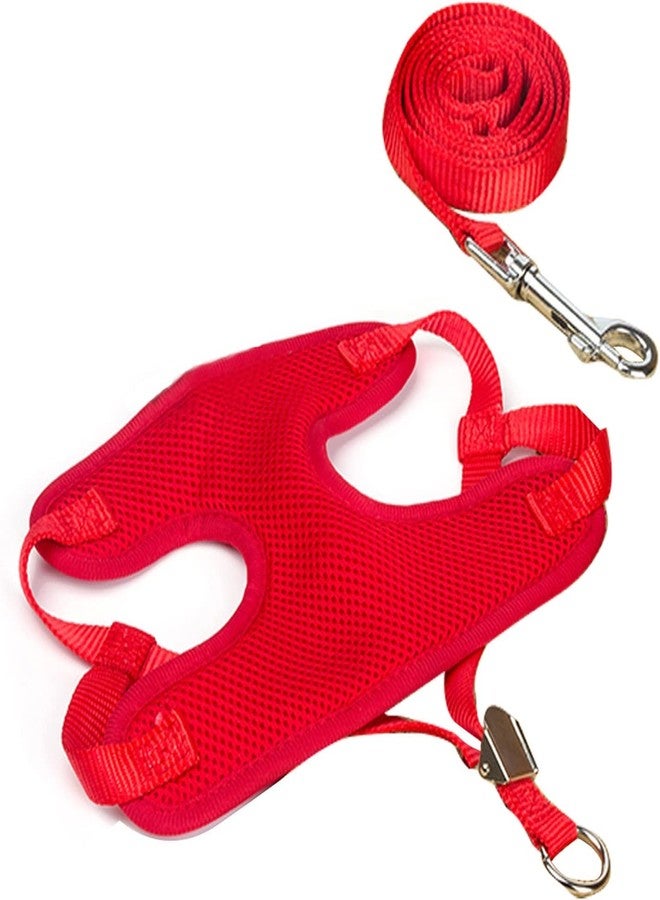 Pups&Pets طقم سرج ومقود للحيوانات الأليفة من Pups&Pets - سرج شبكي ناعم قابل للتعديل ومريح للكلاب الصغيرة والجراء - أزرق - Image 3